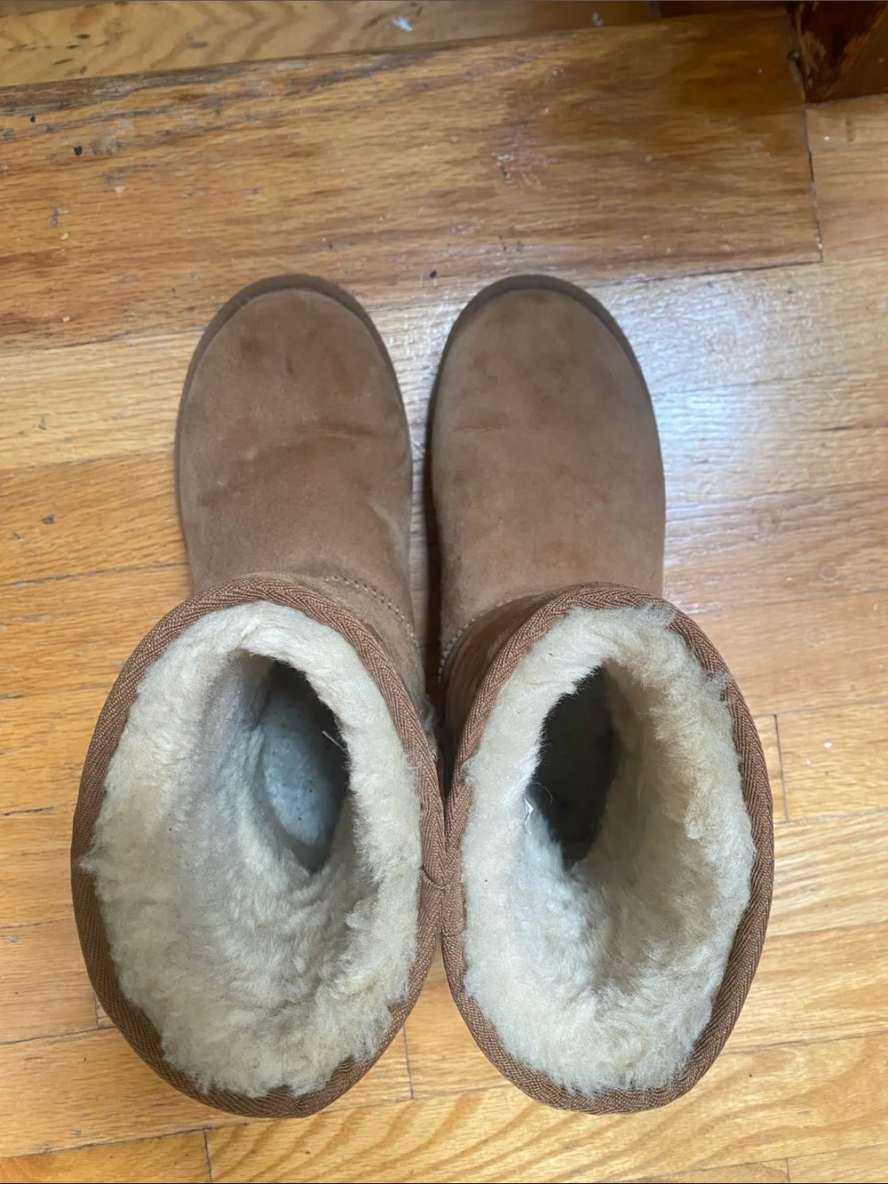 UGG Classic Short Boots - Chestnut Suede